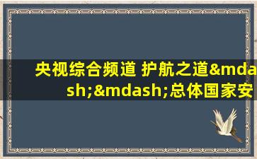 央视综合频道 护航之道——总体国家安全观纵横